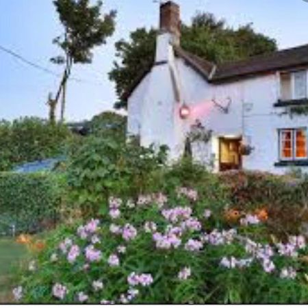The Northmore Arms Throwleigh 외부 사진
